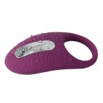 Anillo Vibrador Para El Pene Winni Morado Svakom DistriSex